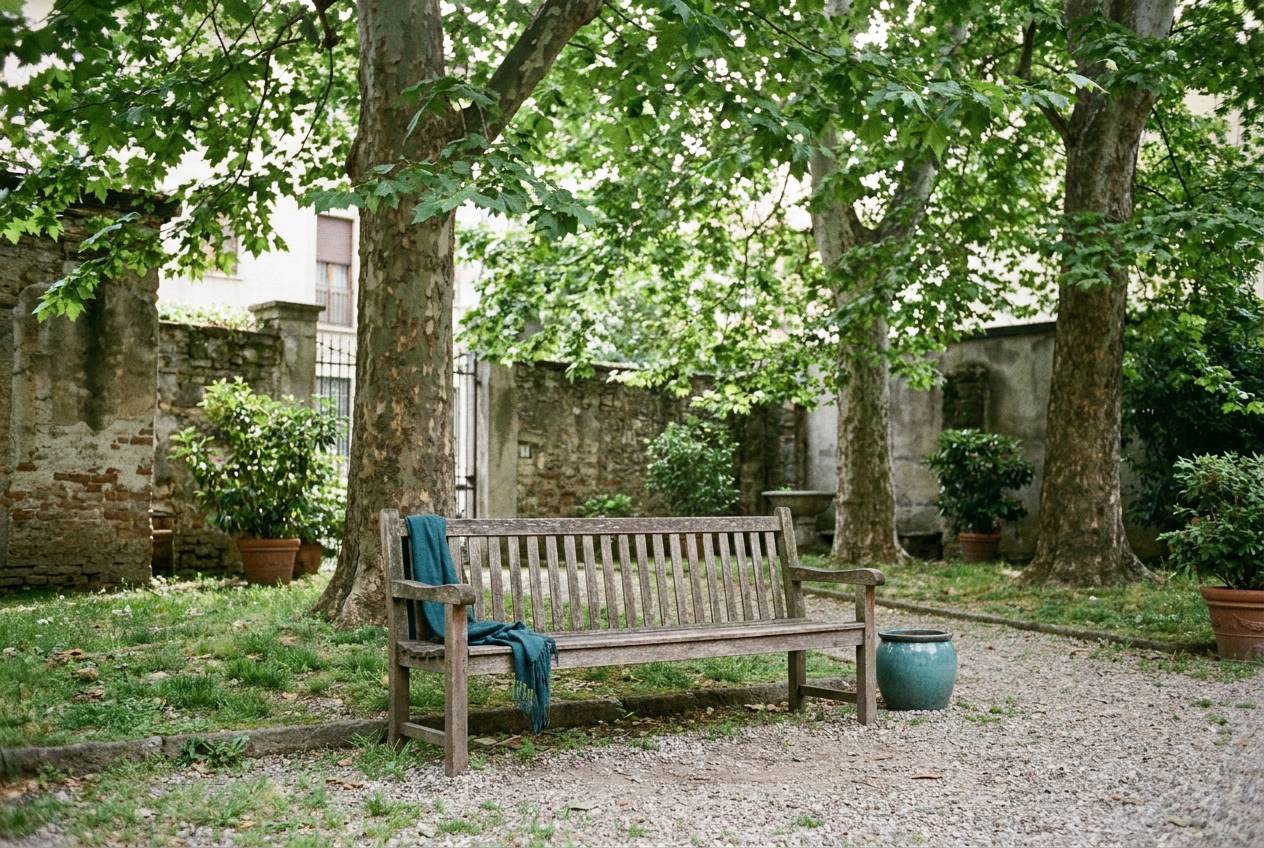 Immagine illustrativa: panchina vuota sotto i platani in un giardino di quartiere